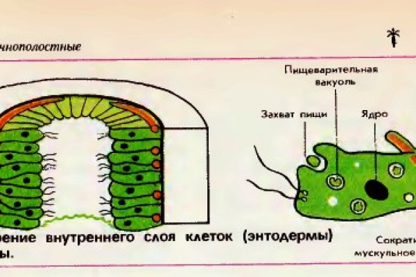 Кракен тор зеркало