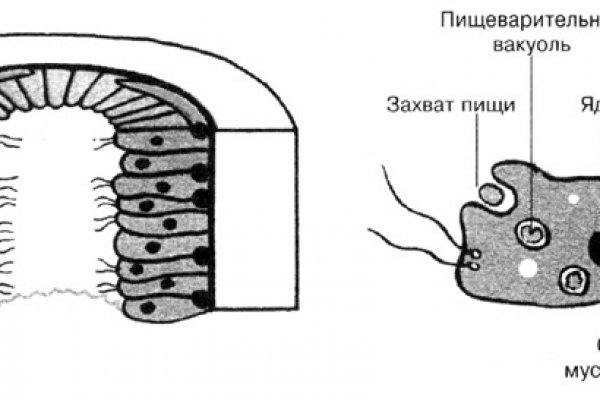 Кракен торговая площадка даркнет