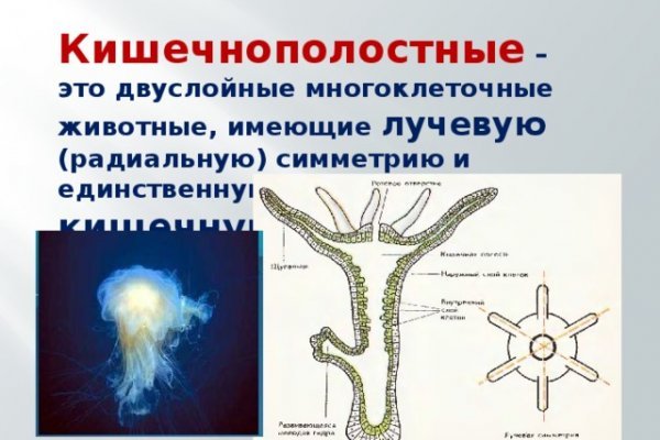 Кракен сайт как выглядит