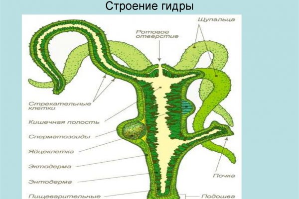 Кракен маркет плейс