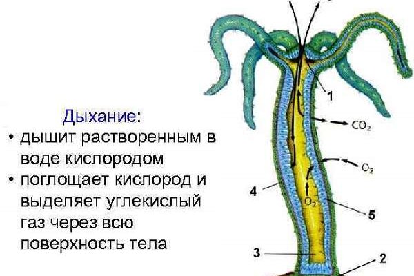 Реальная ссылка кракен