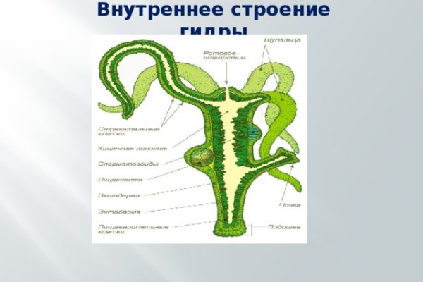 Не заходит на кракен